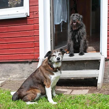 Haus Vierjahreszeiten Σπίτι διακοπών Gross Niendorf (Mecklenburg-Vorpommern)